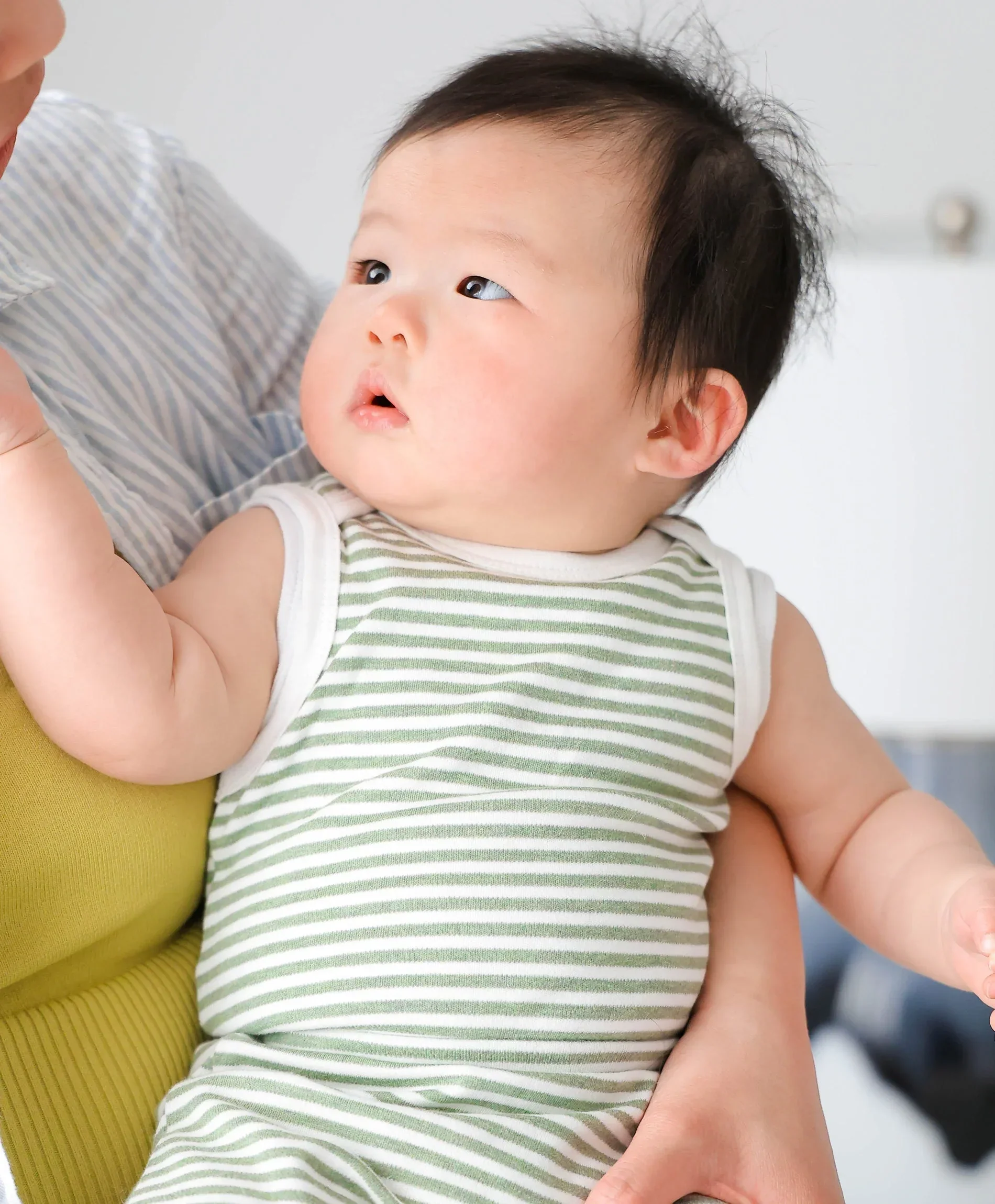 Organic Cotton Singlet Bodysuit - Forest Stripes - Image 3