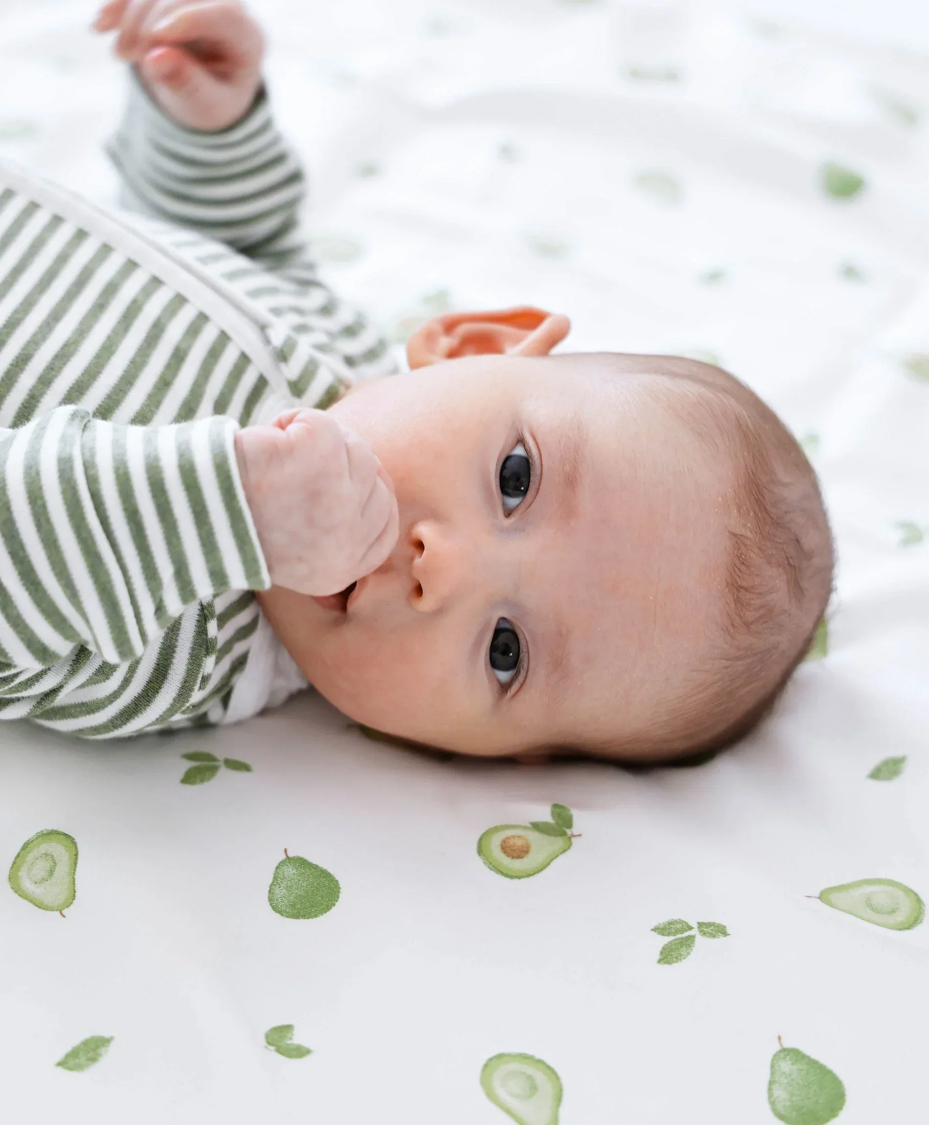 Organic Cotton Cot Sheet - Avocados - Image 3